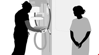 前往 115年3月四癌篩檢活動場次公告