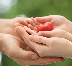 "好肝心 健康講座 1.	認識B.C肝 2.	肝癌外科治療 3.	肝癌全身性治療 4.	肝癌質子治療之經驗分享"