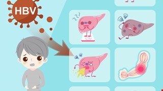 Hepatitis B 什麼是B型肝炎？