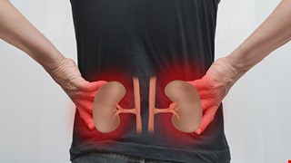 Chronic Renal Failure 慢性腎衰竭