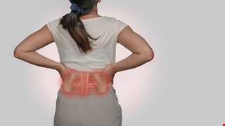 Introduction to Polycystic Kidney Disease 多囊腎