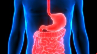 Gastric Emptying Scan 核醫胃排空檢查