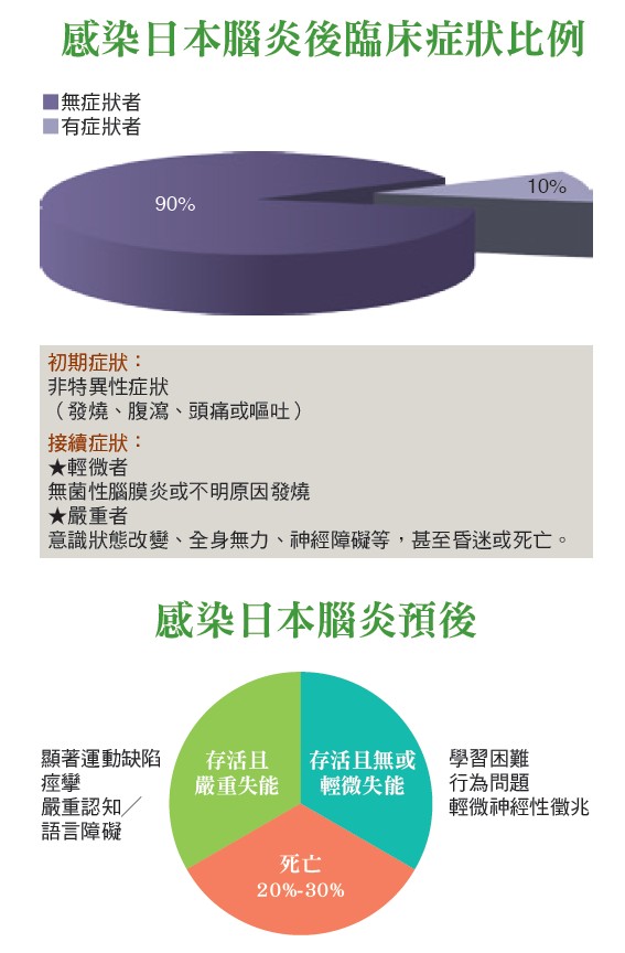 感染日本腦炎後臨床症狀比例