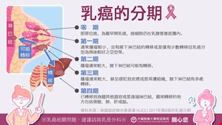 乳癌的分期-乳癌懶人包3