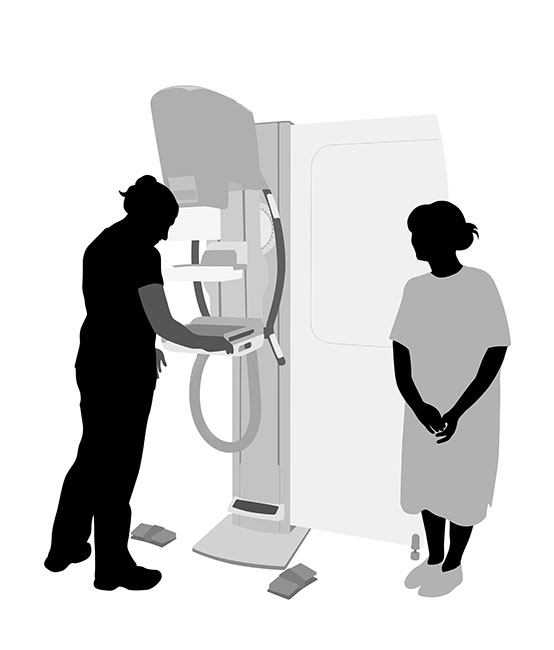 115年1月四癌篩檢活動場次公告