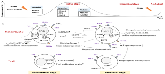 Assessing the Immune Cell Subset and Genetic Mutations in Patients With Palindromic Rheumatism Seronegative for Rheumatoid Factor and Anti-Cyclic Citrullinated Peptide