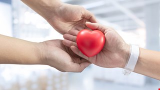 讓愛延續：114年度愛心捐款與使用狀況