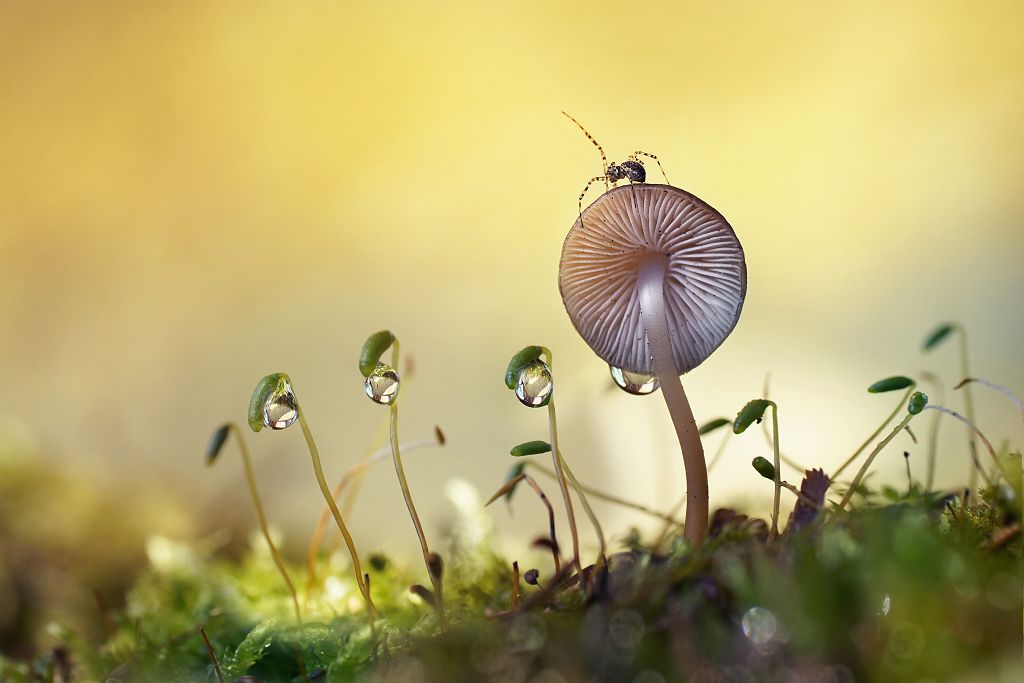 單補充維生素 D 無法增骨密度 亦須曬太陽