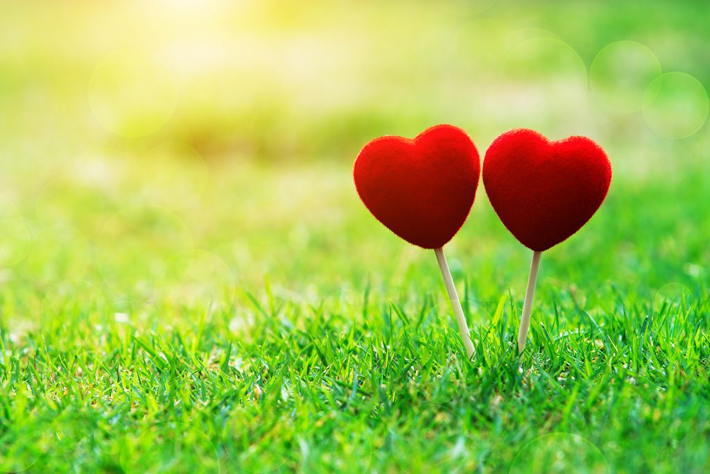 身心介面中心誠徵專/兼任臨床研究收案(網路問卷臨床收案)