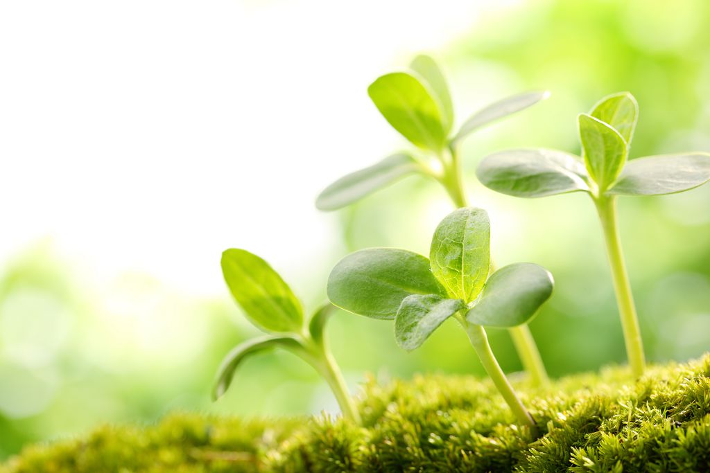  高壓氧治眼中風 具療效