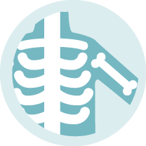 Joints and Bones icon